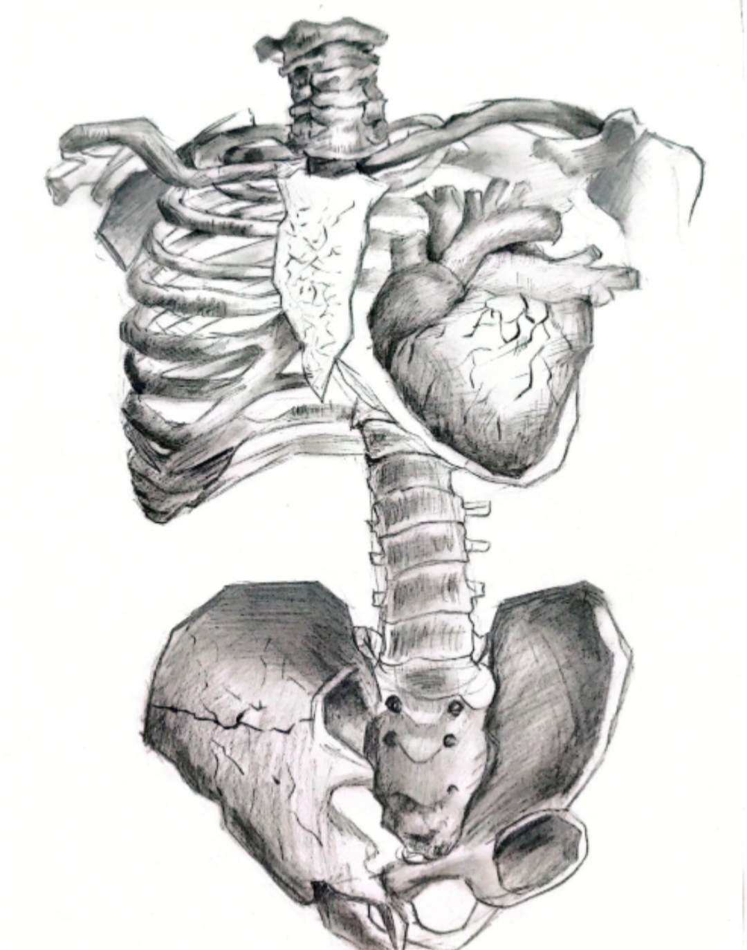 正在上传... 正在上传...