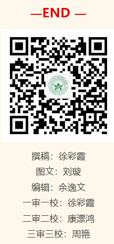 1769043930753271.png image.png